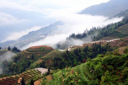 云戀青山.jpg